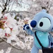 mimiの画像