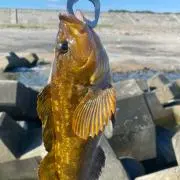 チャチャ