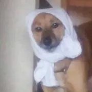 マーブルチヨコ