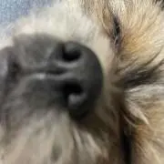 Hikの画像