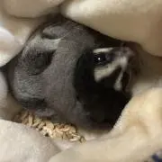 えま