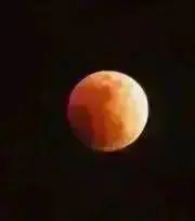 YAMATOYAの画像