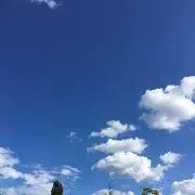 よろしくお願いしますの画像