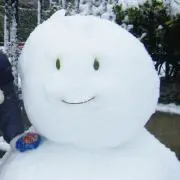 エリーゼの画像