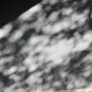Reの画像