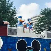 mmの画像