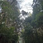 うみ♡在庫処分セール♡の画像