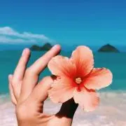 haruの画像