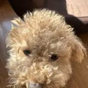 ♡LOCO♡