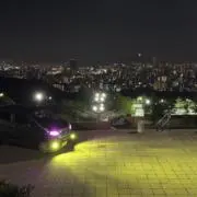 智貴の画像