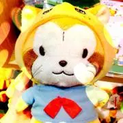 みみの画像
