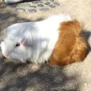Mの画像