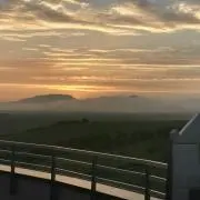 あゆ