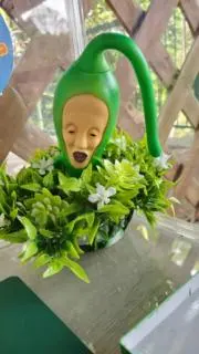 よしえの画像