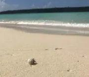 みきてぃの画像
