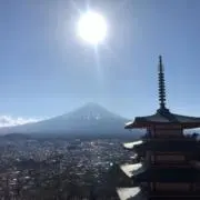 こうの画像