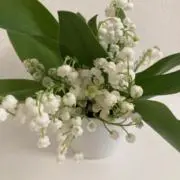 喜々の画像
