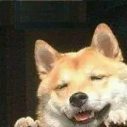 さっさんの画像