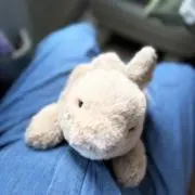 リリィ❅▶(※)購入時プロフ必読の画像