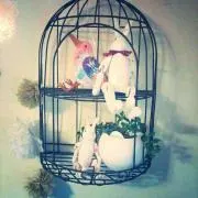 cocoa【プロフィール必読】