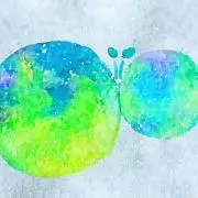 ケンタカの画像
