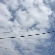 らんくん