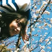 roroの画像