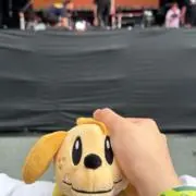ピクミンピクミン(正規品シール断捨離中)の画像