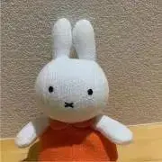みっふぃーの画像