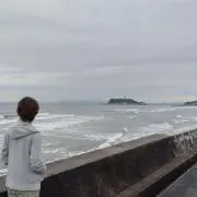 モッシュ