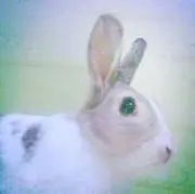 ゆう
