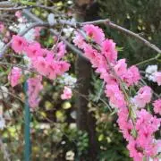 ころりぃお　⭐プロフィール必読⭐の画像