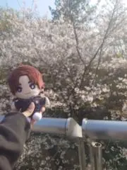 Lukeの画像
