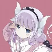 SDVX グレイス ロングクッションカバーとe-passのセット - メルカリ