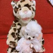 まろの画像