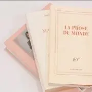 yの画像