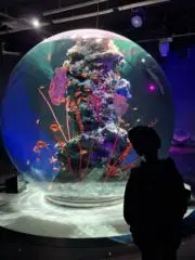 Mii116の画像