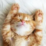 もも☆☆