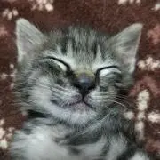 ちぃ