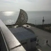 マグロンピの画像