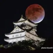 TKJの画像