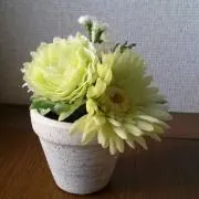 マカロン