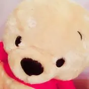 さくら