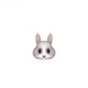 ぱちの画像