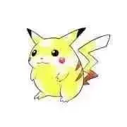Pokemon collector♦️の画像