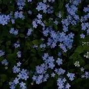 てよんの画像
