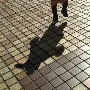 吉（断捨離中の画像