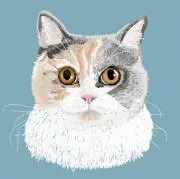 Mimiの画像