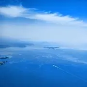 タカノの画像