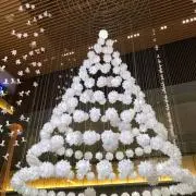 霜月の画像
